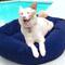 Royal Pet Bed Small Washable Luxury Velvet Dog Bed